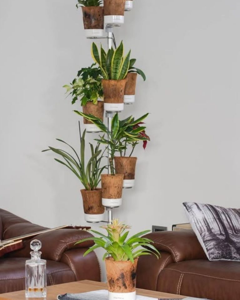 Urban Planty - UGC _ Product Images (3)