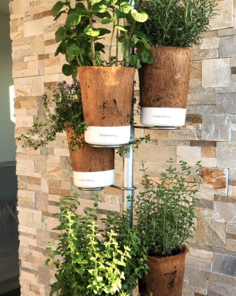 Urban Planty - UGC _ Product Images (5)