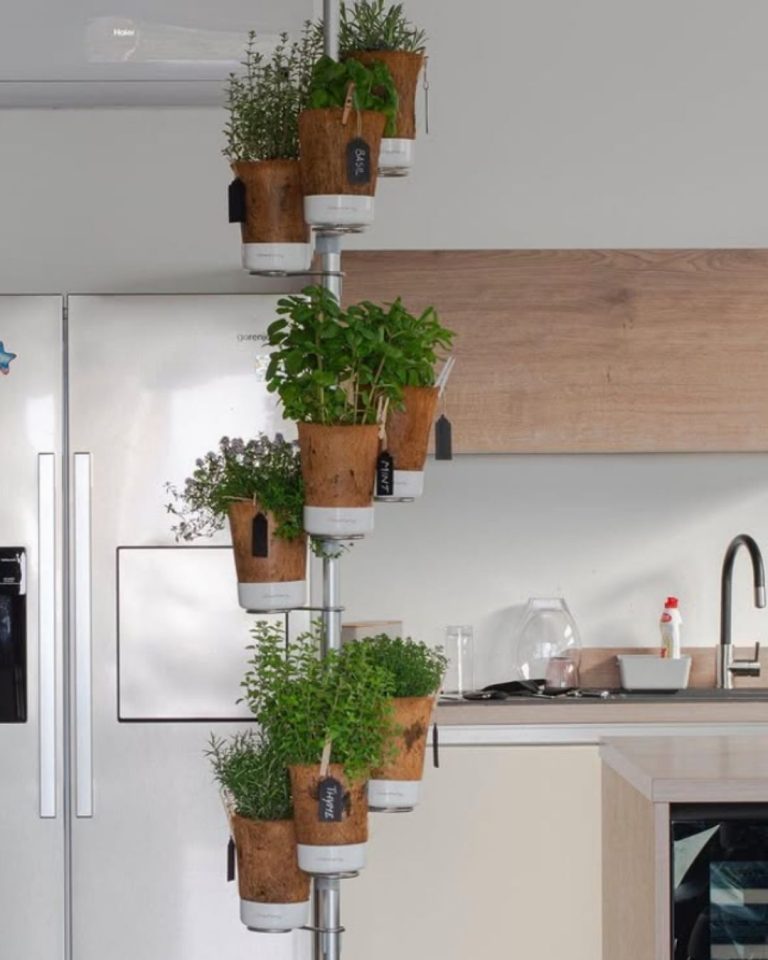 Urban Planty - UGC _ Product Images (6)