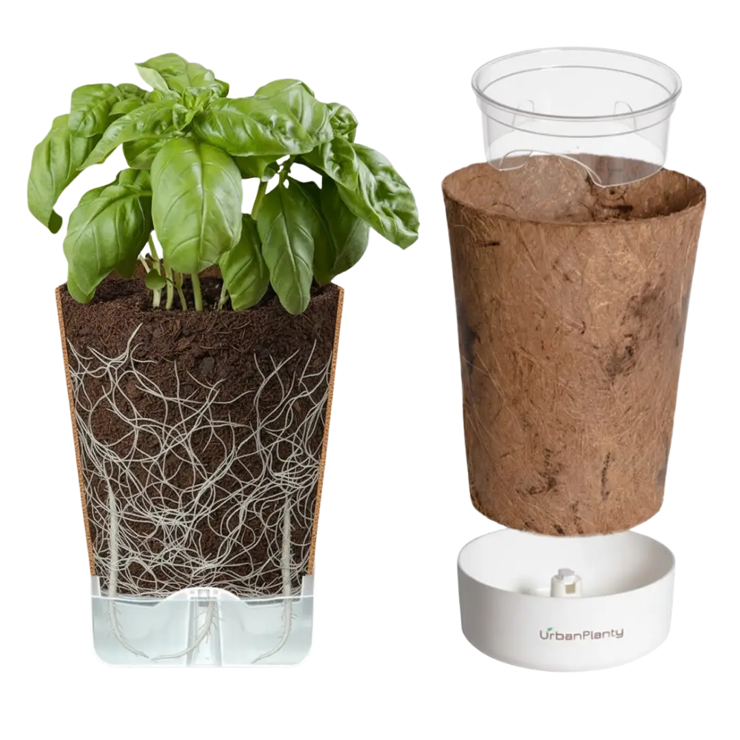 Urban Planty vertical garden coconut pot cross-section showing roots and water reservoir